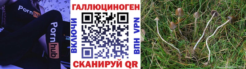 Галлюциногенные грибы мицелий Красково